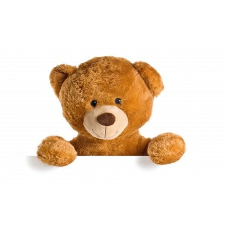 Middle Teddy Bear 06