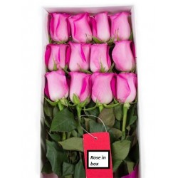 Valentine 12 pink rose flower in box