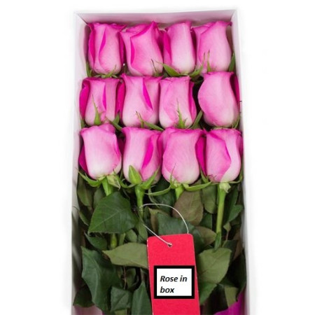 Valentine 12 pink rose flower in box - 1 Valentinsdagen: Pink Rose Flower BoxOverrask din kjære denne Valentinsdagen med 12 fant