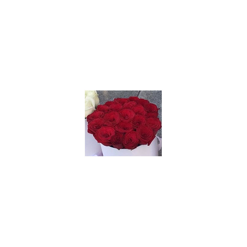 Red 18 roses in box - 1 Red Roses in Box | Valentine's Day Gifts Red 18 roses in box - 1 Red Roses in Box | Valentine's Day Gifts
