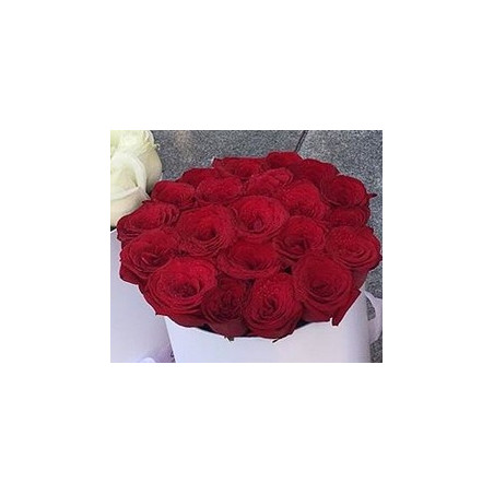 Red 18 roses in box - 1 Red Roses in Box | Valentine's Day Gifts