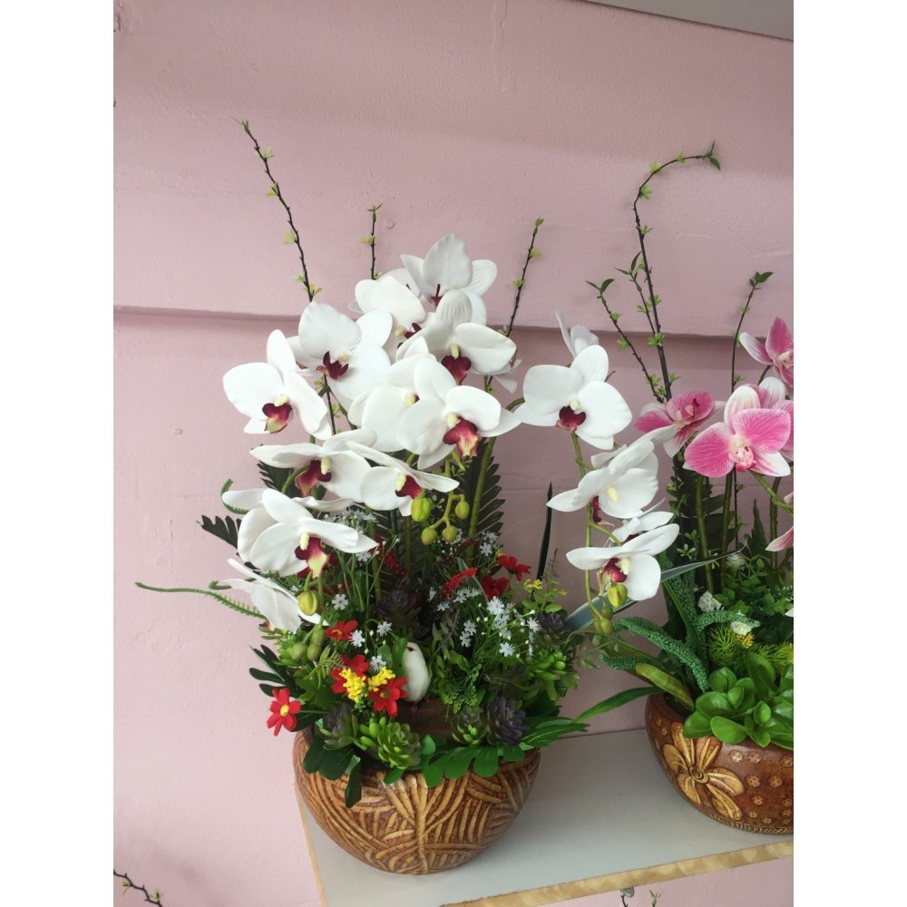 Orquídeas brancas en cunca de cerámica
