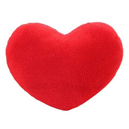 VALENTINE GIFT FLOWERS WITH HEART PILLOW