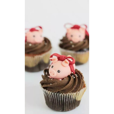 Pig fondant chocolate cupcakes set