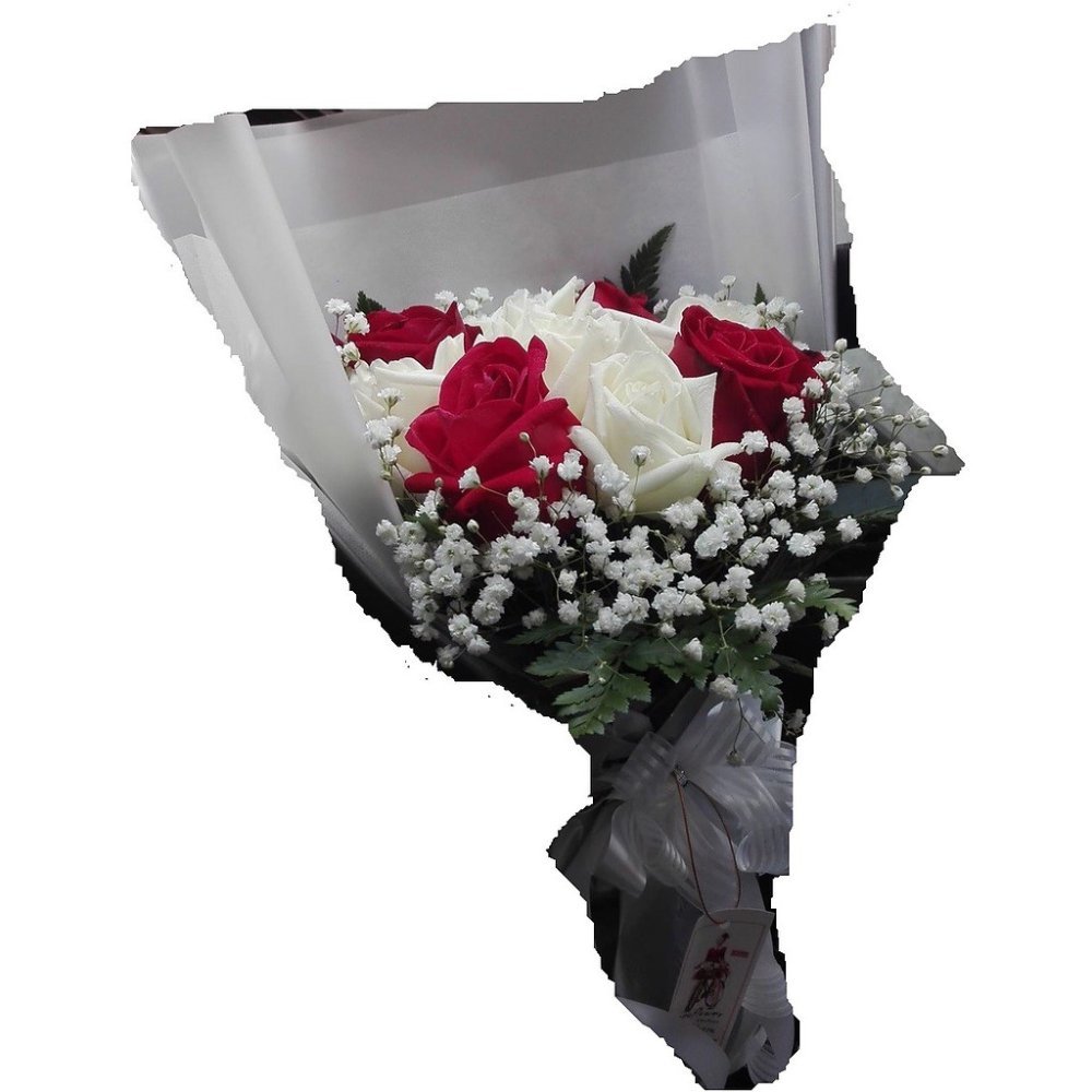 다채로운 생화 회복 축하 꽃다발