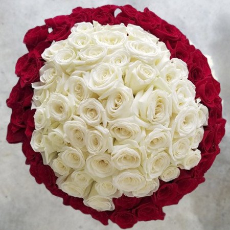 100 red and white roses