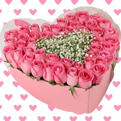 Rose in box for Valentine