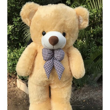 flower with chocolate and teddy bear size 90 cm
