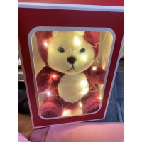 Bear wearing a custume in box with flashing lights