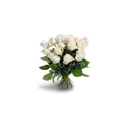 100 red and white roses