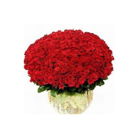 SAY I LOVE YOU WITH 500 ROSES