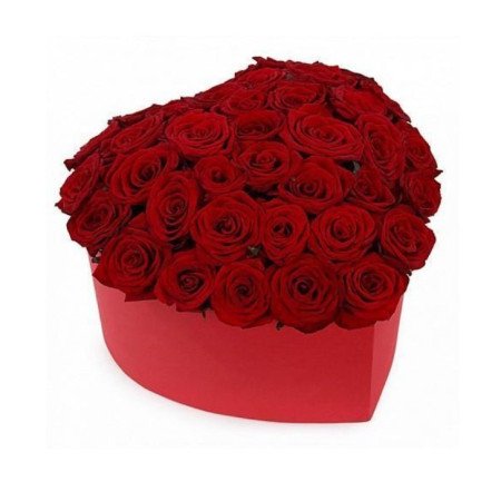 Red Rose flowers in box for Valentine