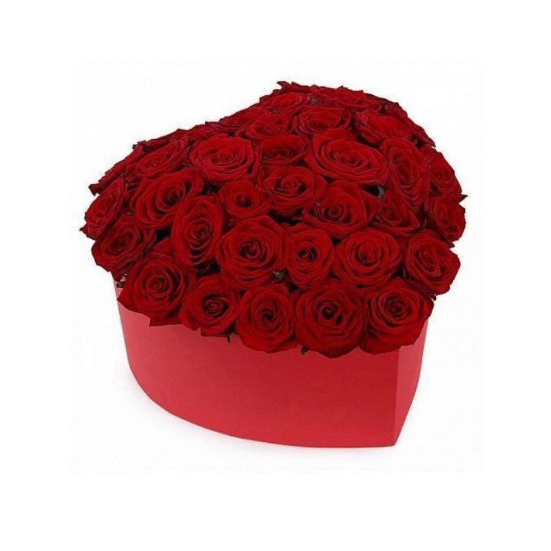 Red Rose flowers in box for Valentine