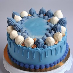 BLUE ON THE  SEA CAKE