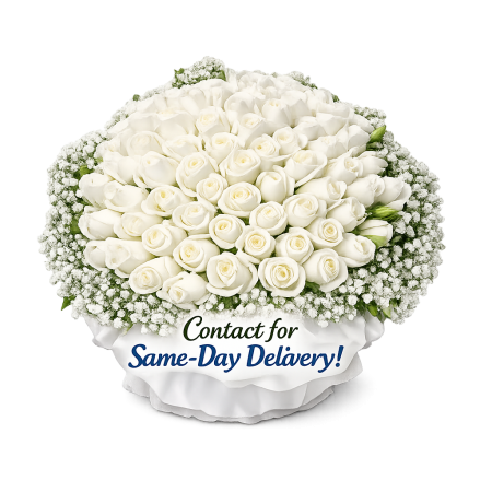 White Roses: Sorry Flowers | Order Online