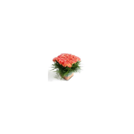 VASE OF FLOWERS 17 | Friske blomster og vase på nett