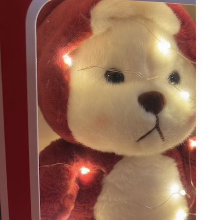 Bear wearing a custume in box with flashing lights - 11 Bear wearing a custume in box with flashing lights | Regalo do Día deSor