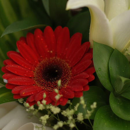 Rose mix with Lilies flowers - 6 Rose & Lily Bouquet | Fresh Flower Delivery