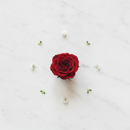 ROSE FLOWER - 3 ROSE FLOWER Bouquet | Roses Fresques en Línia - [Your Brand]Descobreix la bellesa del nostre ram de ROSE FLOWER,