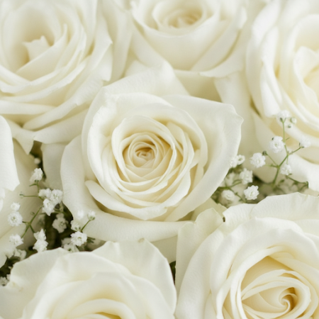 12 WHITE ROSE FLOWER - 7 White Rose Flower Bouquet | Fresh & Elegant