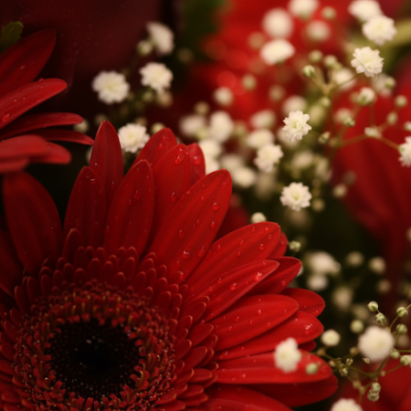 RED HOT FLOWER - 5 RED HOT FLOWER Bouquet | Fleurs fraîches livréesÉgayez n'importe quelle occasion avec notre bouquet RED HOT F