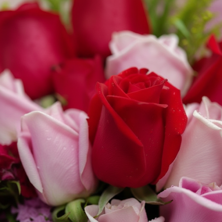 ช่อกุหลาบหลากสี - 5 ช่อกุหลาบหลากสี ของขวัญสุดพิเศษ | Flower Delivery Pattaya