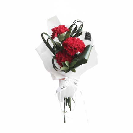 CARNATION  FLOWER - 6 카네이션 꽃다발 | 신선하고 아름다움어떤 경우에도 우리의 멋진 CARNATION FLOWER 꽃다발로 분위기를 밝게 하세요. 선물이나 홈 데코에 완벽한 이 생기 넘치는 꽃들은 당신의 공간에 