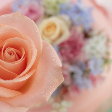 BLOOMS 50 - 6 BLOOMS 50: Fresh Flower Bouquets | Order TodayDiscover BLOOMS 50, a stunning bouquet of fresh flowers that brighte