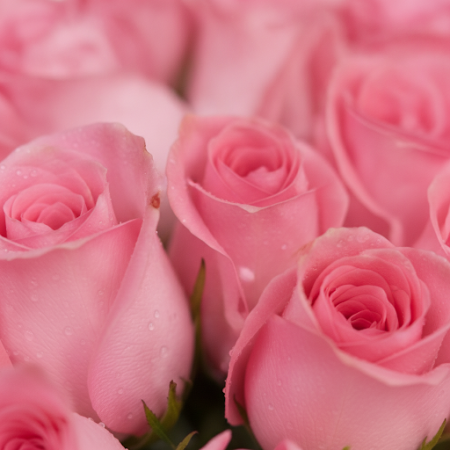 VASE OF 35 PINK ROSES FLOWERS 03 - 5 Vase of 35 Pink Roses | Fresh Flowers | Order NowBrighten any space with our stunning vase 