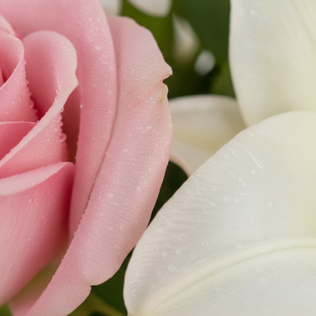 VASE OF LILLY AND PINK ROSES FLOWERS - 12 Vase of Lilies & Pink Roses | Lliurament de Flors FresquesIl·lumina el teu espai amb e
