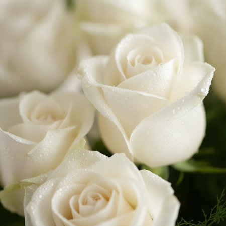 VASE OF 40 ROSES  FLOWERS - 5 Vase of 40 Roses | Fresh Flowers | Same Day DeliveryBrighten any space with our stunning Vase of 4