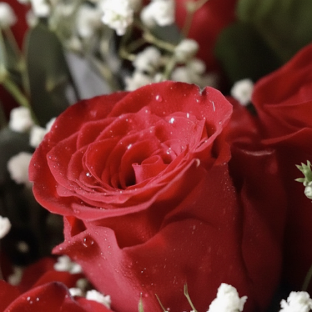 10 red roses flowers - 7 10 Red Roses | Grazas Flores | [Your Brand]Exprésa a túa gratitude con 10 stunning red roses flowers. P