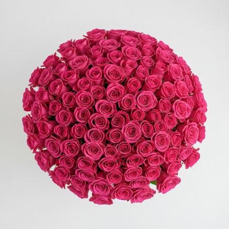 100 pink roses - 11 100 Pink Roses | Verse Rozen Vandaag Bezorgd