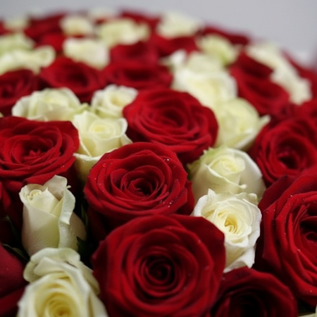 Grand 100 Red & White Roses Flower Arrangement – Perfect Anniversary Gift Pattaya Valentine - Foto 10