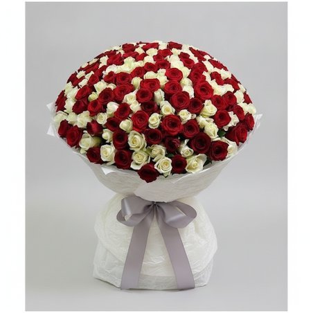100 rosas rojas y blancas