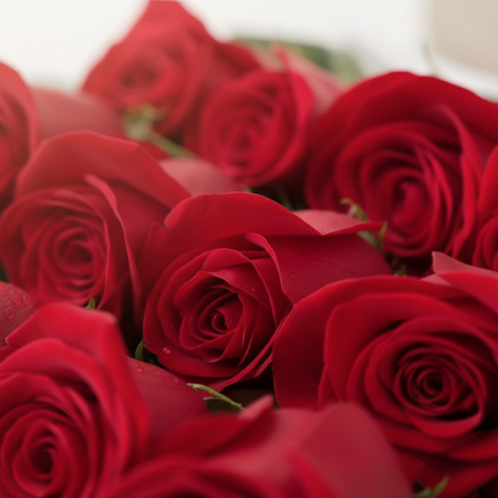 12 red roses in box - 6 12 rode rozen in doos | Verse bloemen | ROSE IN BOX