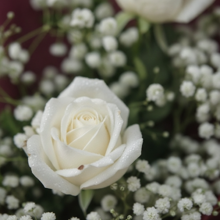 2 roses flower - 4 情人節玫瑰 | 產品 2 - 現在訂購