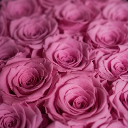 20 roses in box - 4 20 Roses in a Box | Frische Rosen LieferungÜberraschen Sie jemanden Besonderen mit unseren atemberaubenden 2
