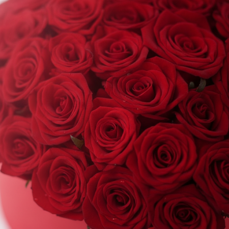 23 Red Roses flowers in box for Valentine - 10 23 Red Roses flowers in box for Valentine | Fiori per San ValentinoSorprendi la t