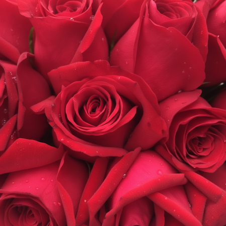 26 roses bouquet - 8 26 Roses Bouquet | Valentine's Day Gifts