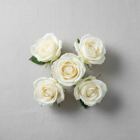 5 White  roses flowers - 55 White Roses | Свежие цветы | РозыОсветите любое событие нашими потрясающими 5 white roses flowers. И