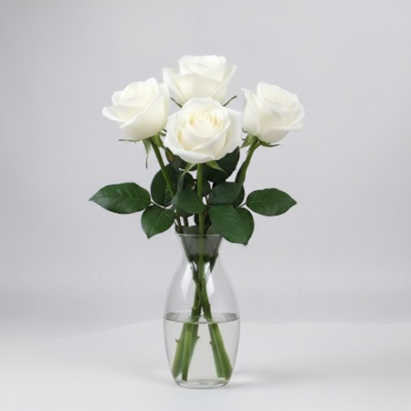 5 White  roses flowers - 95 White Roses | Свежие цветы | РозыОсветите любое событие нашими потрясающими 5 white roses flowers. И