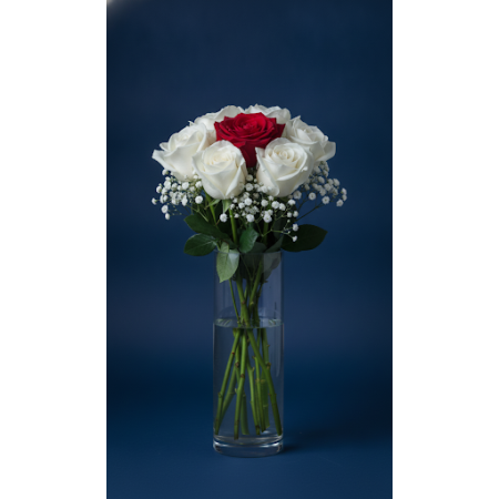 7 rose flowers - 2 7 Rose Flowers | 新鮮且美麗的花朵