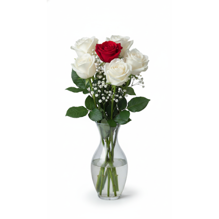 7 rose flowers - 7 7 Rose Flowers | 新鮮且美麗的花朵