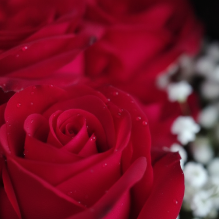 9 red roses flower in box - 4 9 Red Roses in a Box | Fresh Flower BouquetSurprise someone special with our stunning 9 red roses 