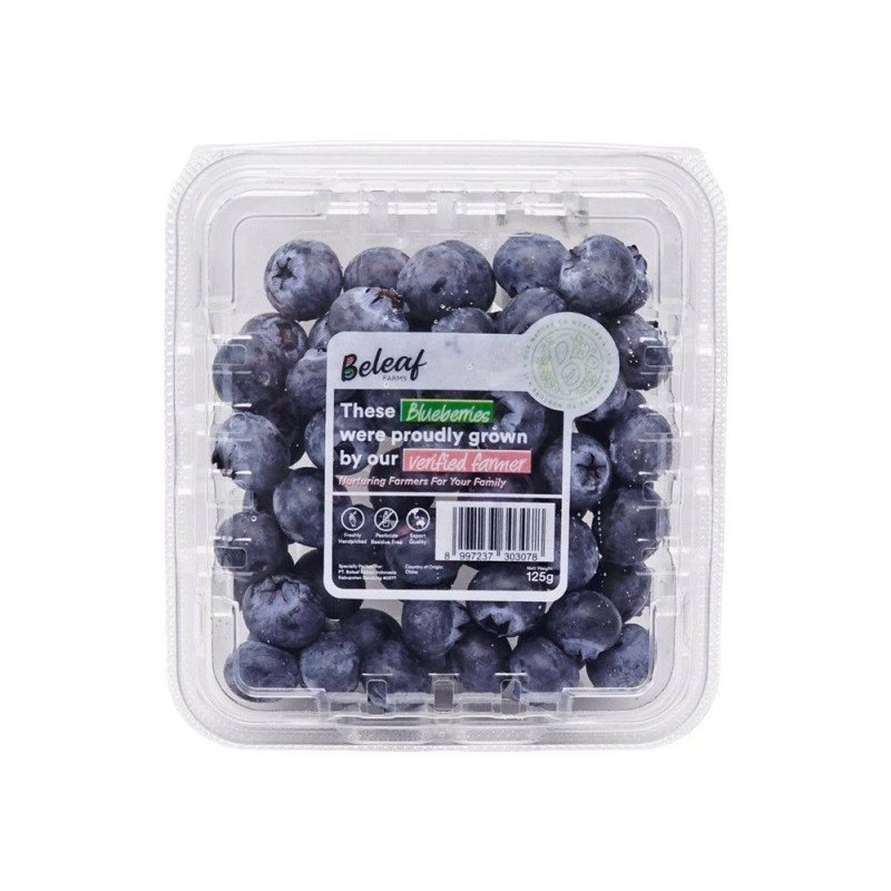 Blueberry 125g - 1 