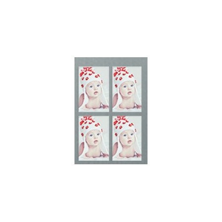 🧲 Blank Magnets – 2" × 3" (Set of 4) | GiftPattaya - 1 