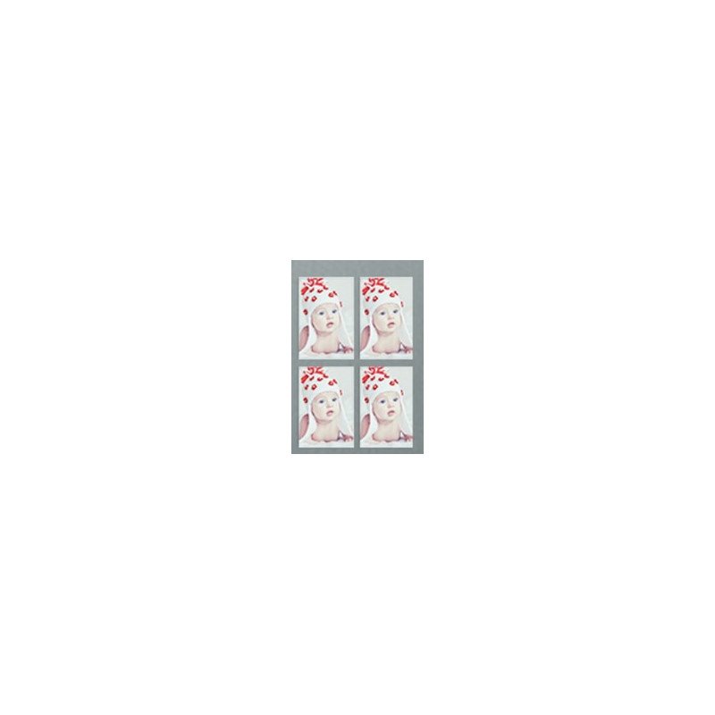 🧲 Blank Magnets – 2" × 3" (Set of 4) | GiftPattaya - 1 