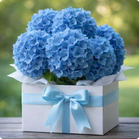 blue hydrangeas big temps in BOX - 1 Blue Hydrangeas: 9-Stem Vase | Home Decor