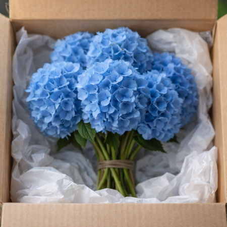 blue hydrangeas big temps - 1 Blue Hydrangeas: 9-Stem Vase | Home Decor